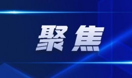 最新回响爆料新闻报道,揭秘事件背后惊人真相