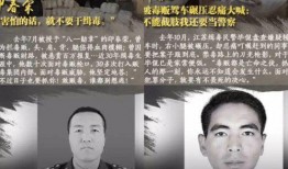 六叔内部爆料最新消息是真的吗,最新消息真实性揭秘