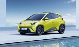 海鸥官方爆料最新消息,全新产品即将亮相，颠覆行业期待！